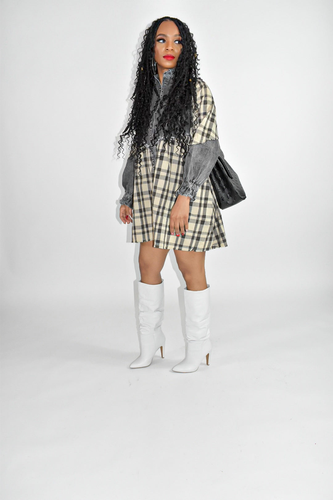 Maison Plaid and Denim Shirt Dress