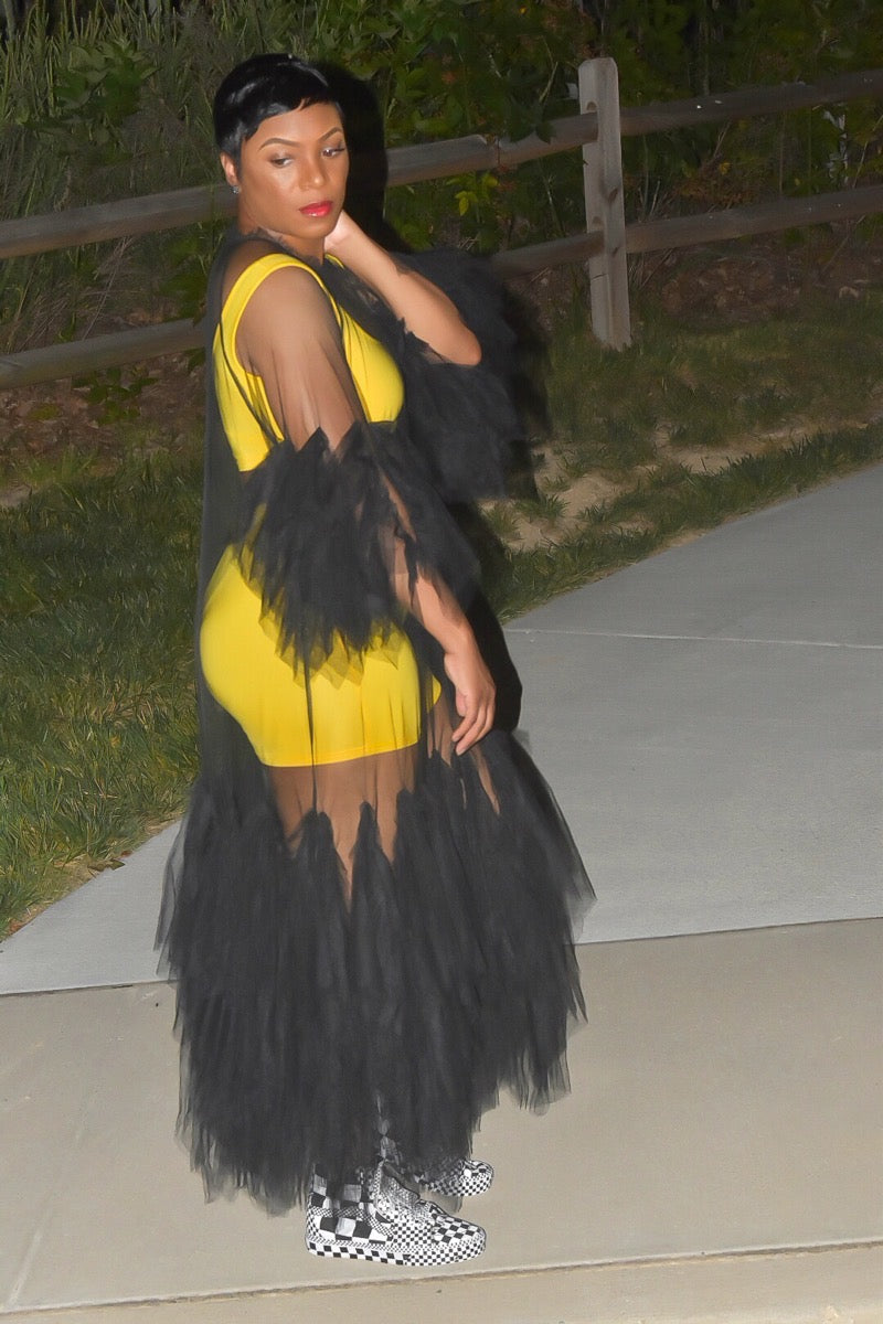 POPPIN Mesh and Tulle Sheer Dress