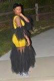 POPPIN Mesh and Tulle Sheer Dress